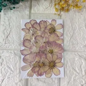 PURPLE BIG dried flowers for resin