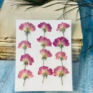 Buy 12 Pieces Pink Rose Flowers