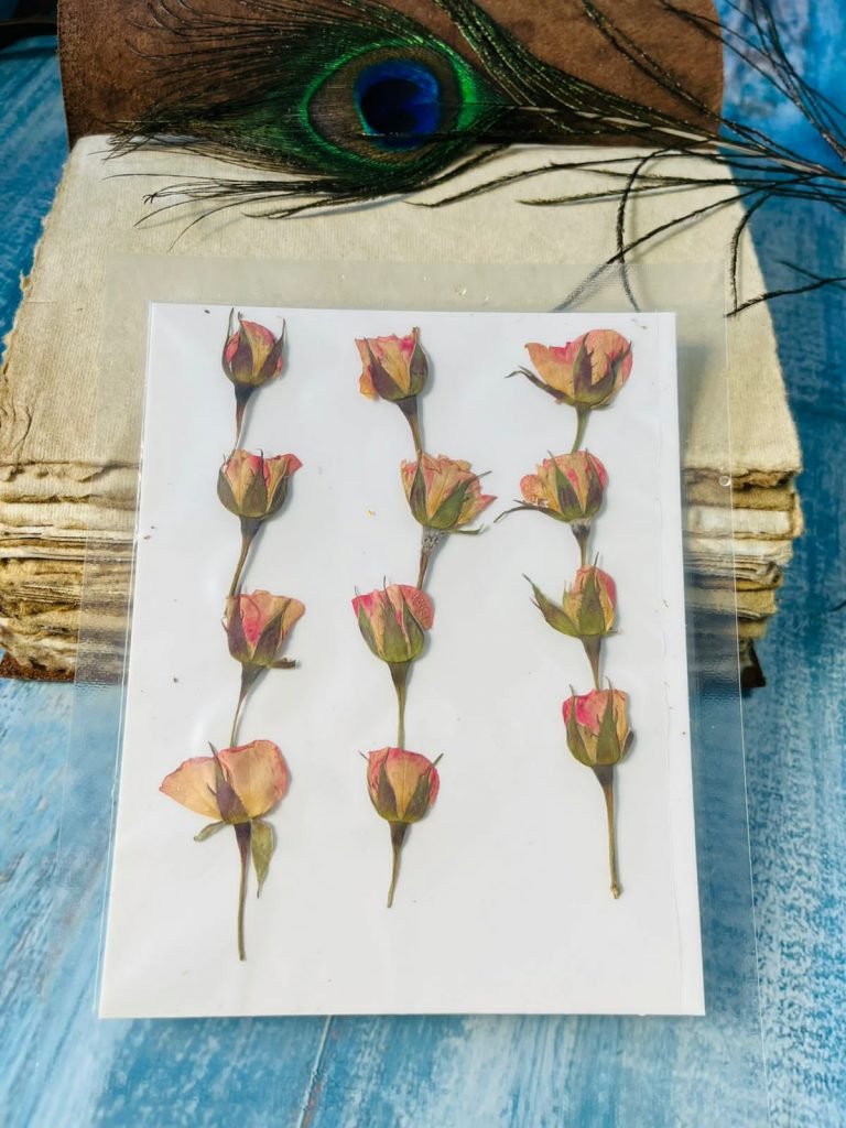 Buy 12 Pieces Pressed Natural baby Pink Rose dried flowers for resin ...