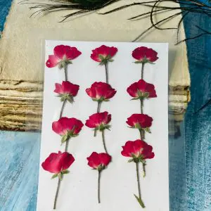 Buy Dried Red Rose flowers online in India
