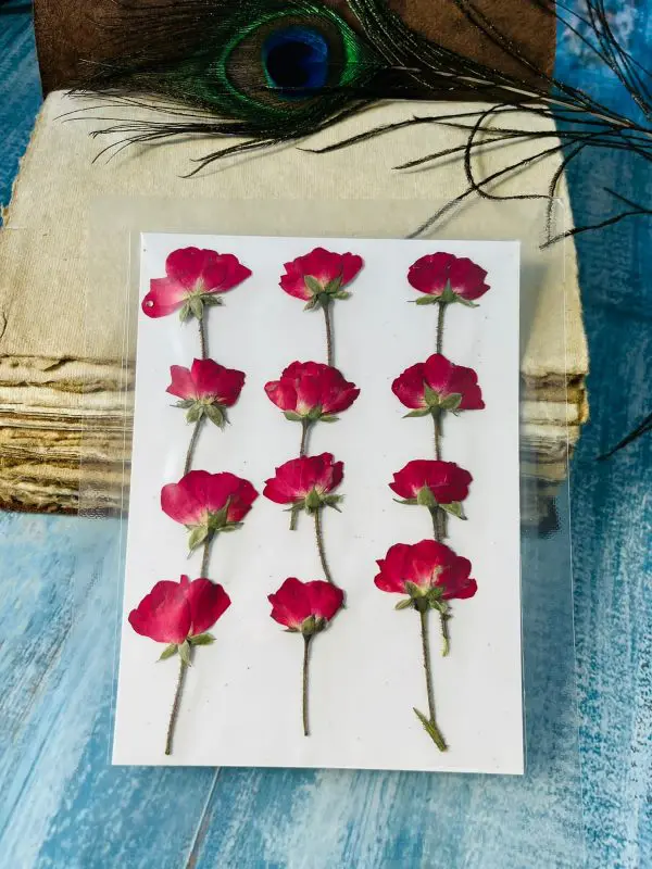 Buy Dried Red Rose flowers online in India