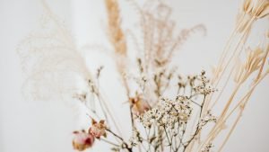 Buy Dried Flowers Online in India