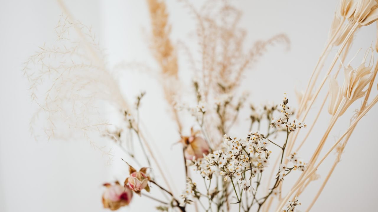 Dried Flowers – A Perfect Way to Add Natural Beauty to Your Home Decor
