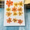 Daffodils dried flowers for resin thumbnail 2