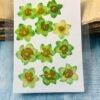 Daffodils dried flowers for resin thumbnail 3