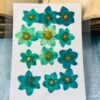 Daffodils dried flowers for resin thumbnail 6