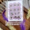 Purple Sunflower