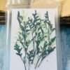 Mixed leaves thumbnail 5