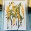 Mixed leaves thumbnail 6