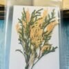 Mixed leaves thumbnail 2
