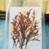 Mixed leaves thumbnail 1