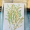 Mixed leaves thumbnail 8