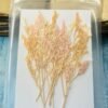 Mixed leaves thumbnail 7