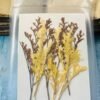 Mixed leaves thumbnail 3
