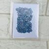 100 pieces Forget me not