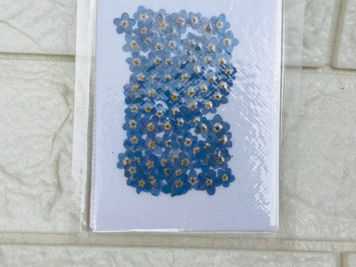 Buy 100 pieces Forget me not Just - Meraki Artencial Store