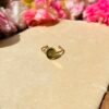 Ring Bezal 70 (Stainless Steel)