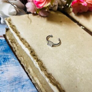 Ring 88 ( stainless steel )