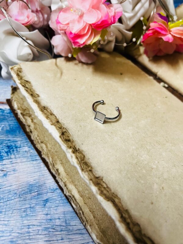 Ring 88 ( stainless steel )