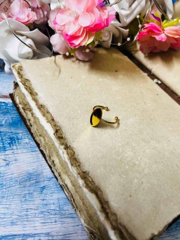 Ring 89 ( stainless steel )