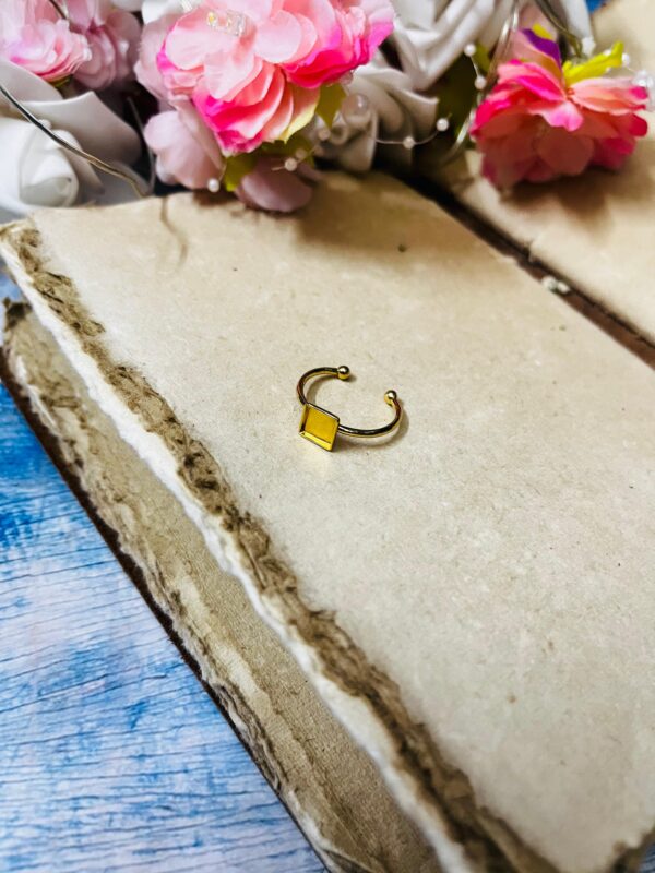 Ring 87 { Stainless Steel }