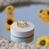 Anti Tarnsih Ring 2
