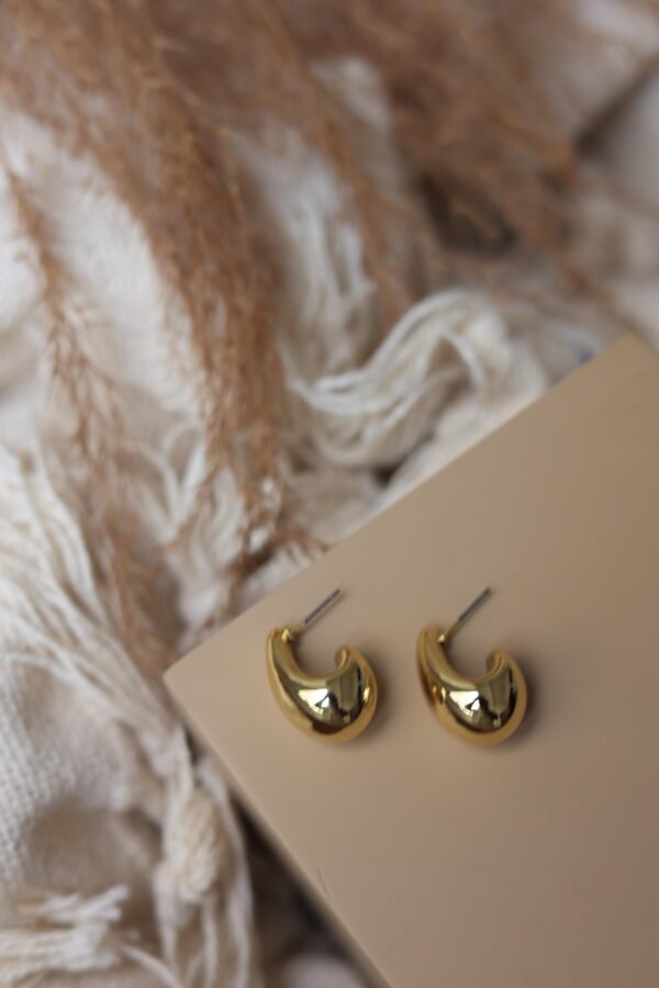 Anti Tarnish earing 4