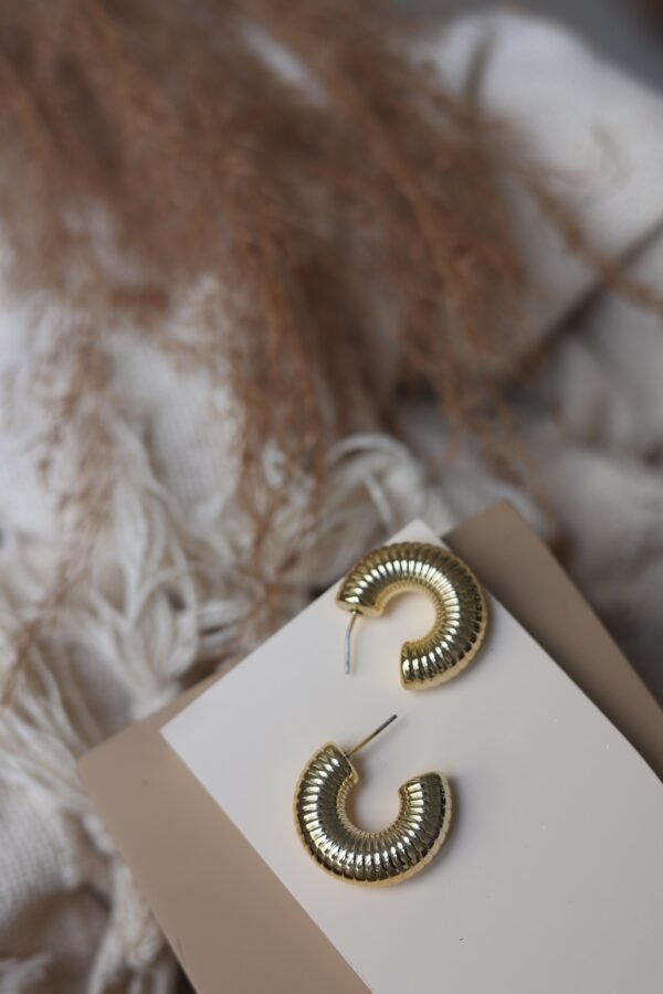Anti Tarnish earing 23