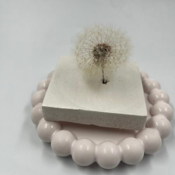 White Dandelions