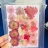 MIXED FLOWERS thumbnail 1