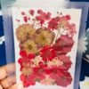 MIXED FLOWERS thumbnail 9