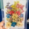 MIXED FLOWERS thumbnail 4