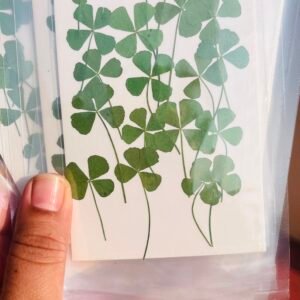 Mini four clover leaves