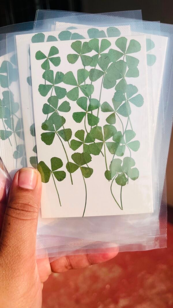 Mini four clover leaves